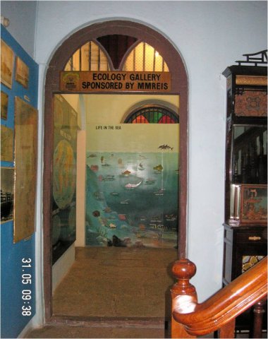 Ecology conservation programme in Nhava through the Marine Museum